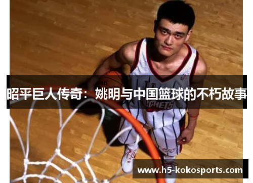 昭平巨人传奇：姚明与中国篮球的不朽故事