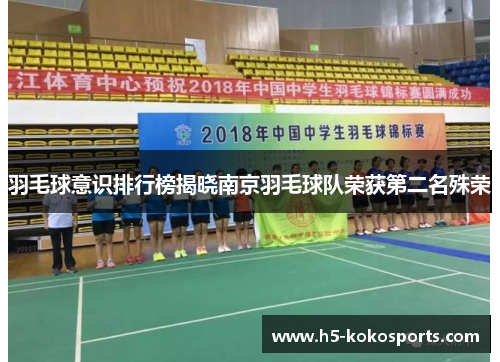 羽毛球意识排行榜揭晓南京羽毛球队荣获第二名殊荣